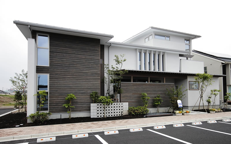 Asahi Alex